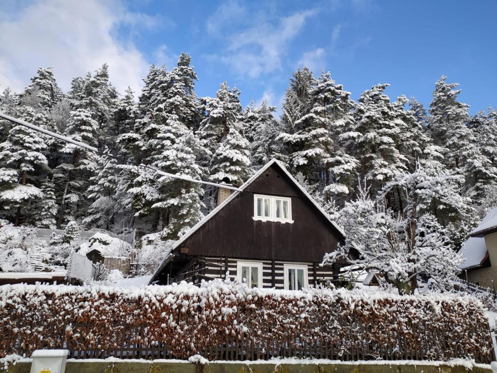 Ubytování Roubenka Koberovy Exteriér fotografie